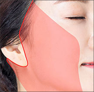 02 - gambar detail