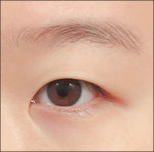 01 - gambar detail