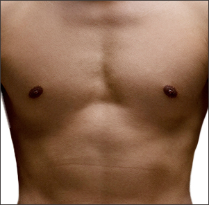 03 - gambar detail