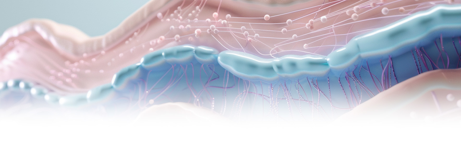 Next-generation thread lifting APTOS that simultaneously improves sagging fat, provides smooth skin texture, and adds volume