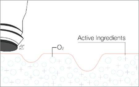 ABSORPTION — Suplai Nutrisi - gambar detail