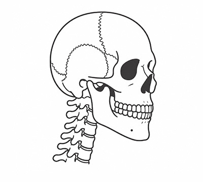 3D-CT 정밀 분석으로 골격 구조와 신경선 위치 확인